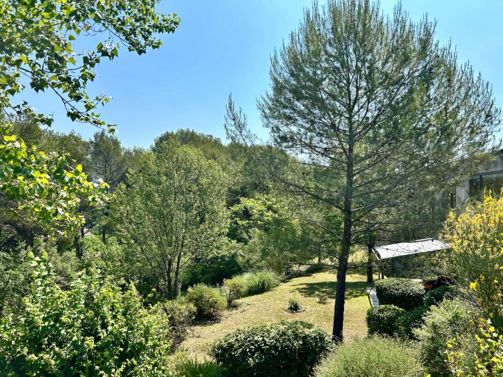 jardin